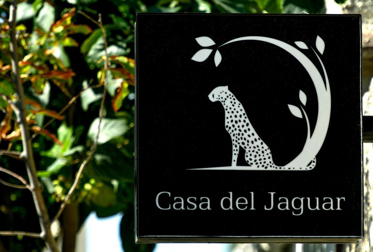 Casa Del Jaguar Beach Hotel Isla Mujeres Esterno foto